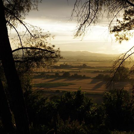 La Pievaccia Guest House Binami ภายนอก รูปภาพ